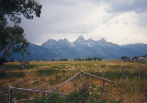 1996 fence