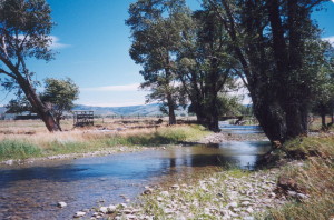 2002 Ditch Creek2