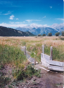 2002 Ditch gate