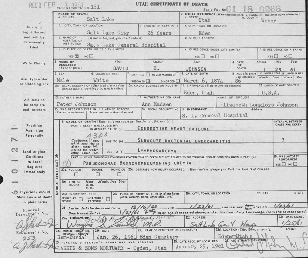 Death Certificate of David H. Johnson