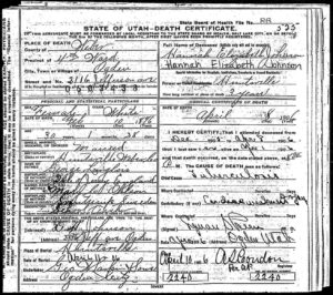 Death Certificate of Hannah Elizabeth Johnson