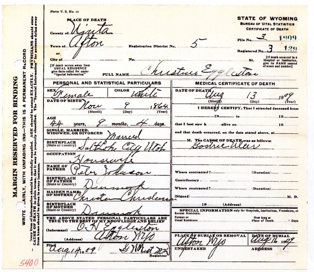 Death Certificate of Annie Christine Johnson Eggleston